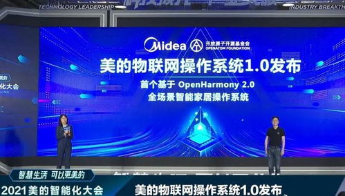 雪中送炭 4800億巨頭接入鴻蒙，華為網絡技術開發的堅守終見曙光